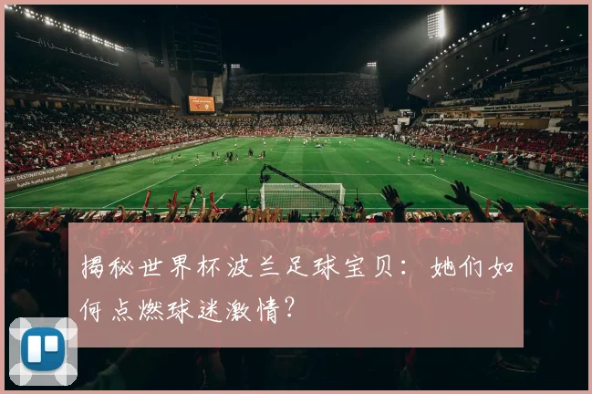 揭秘世界杯波兰足球宝贝：她们如何点燃球迷激情？
