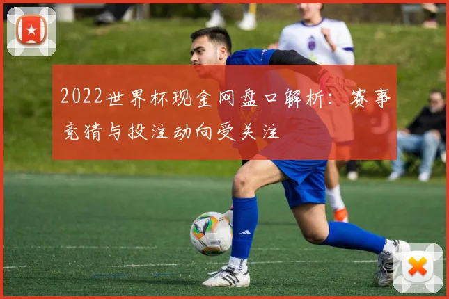 2022世界杯现金网盘口解析：赛事竞猜与投注动向受关注