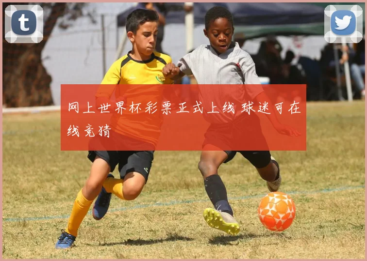 网上世界杯彩票正式上线 球迷可在线竞猜