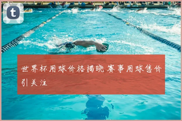 世界杯用球价格揭晓 赛事用球售价引关注