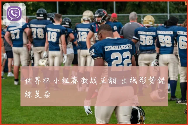 世界杯小组赛激战正酣 出线形势错综复杂