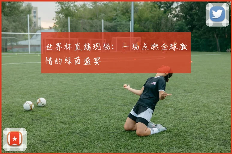 世界杯直播现场:一场点燃全球激情的绿茵盛宴