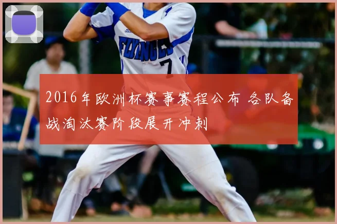 2016年欧洲杯赛事赛程公布 各队备战淘汰赛阶段展开冲刺