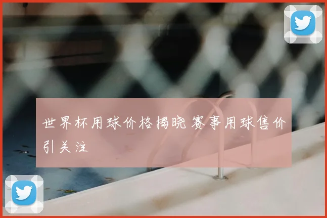 世界杯用球价格揭晓 赛事用球售价引关注