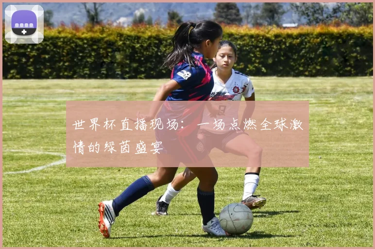 世界杯直播现场：一场点燃全球激情的绿茵盛宴