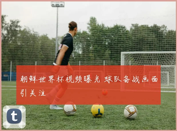 朝鲜世界杯视频曝光 球队备战画面引关注