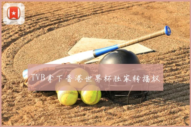 TVB拿下香港世界杯独家转播权