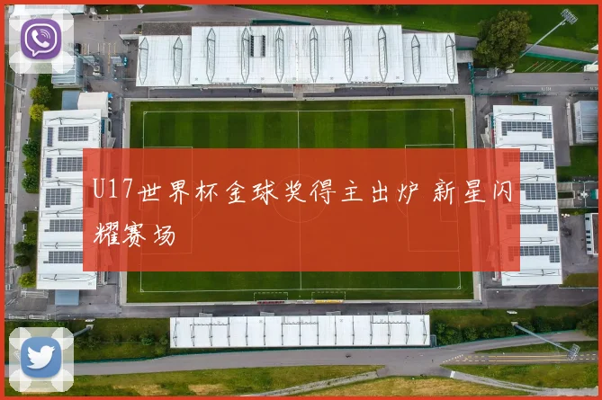 U17世界杯金球奖得主出炉 新星闪耀赛场