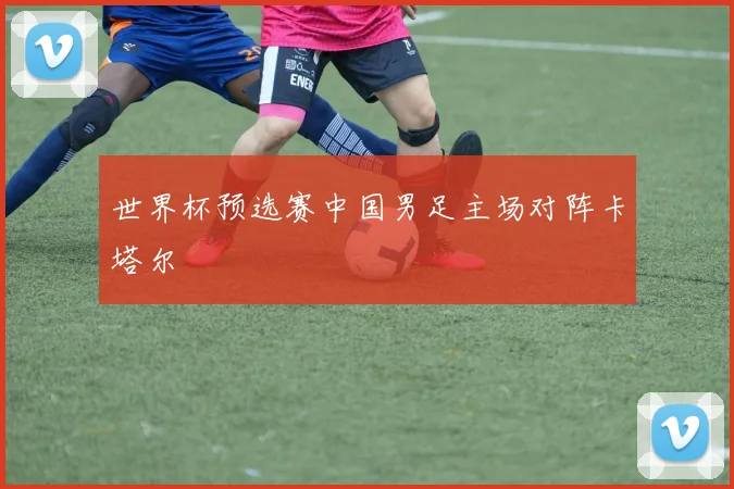 世界杯预选赛中国男足主场对阵卡塔尔