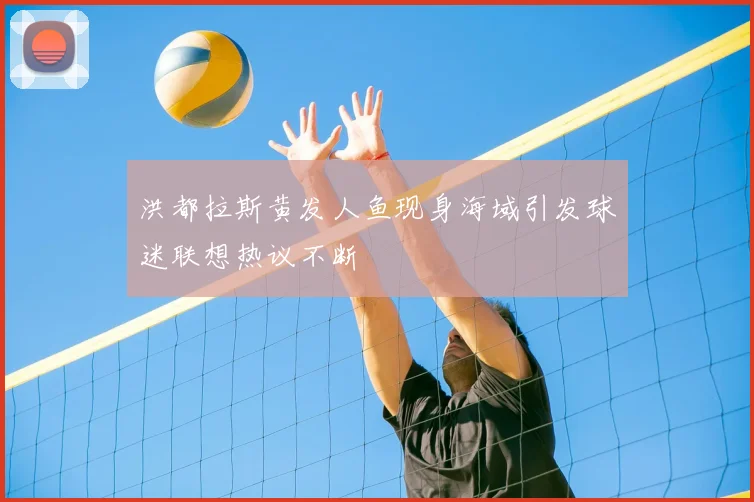 洪都拉斯黄发人鱼现身海域引发球迷联想热议不断