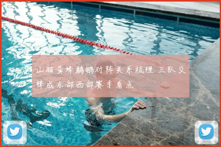 山猫黄蜂鹈鹕对阵关系梳理 三队交锋成东部西部赛季看点